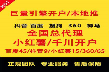 SEM广告投放中的数据监控与调整策略——以某品牌营销案例为例